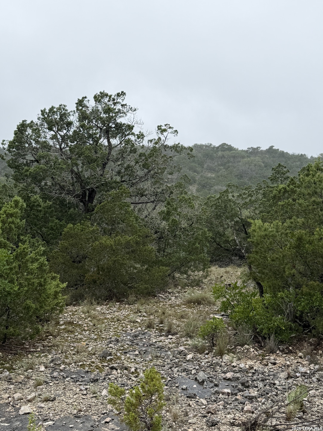 Tbd Sd 46071 Rocksprings TX 78880