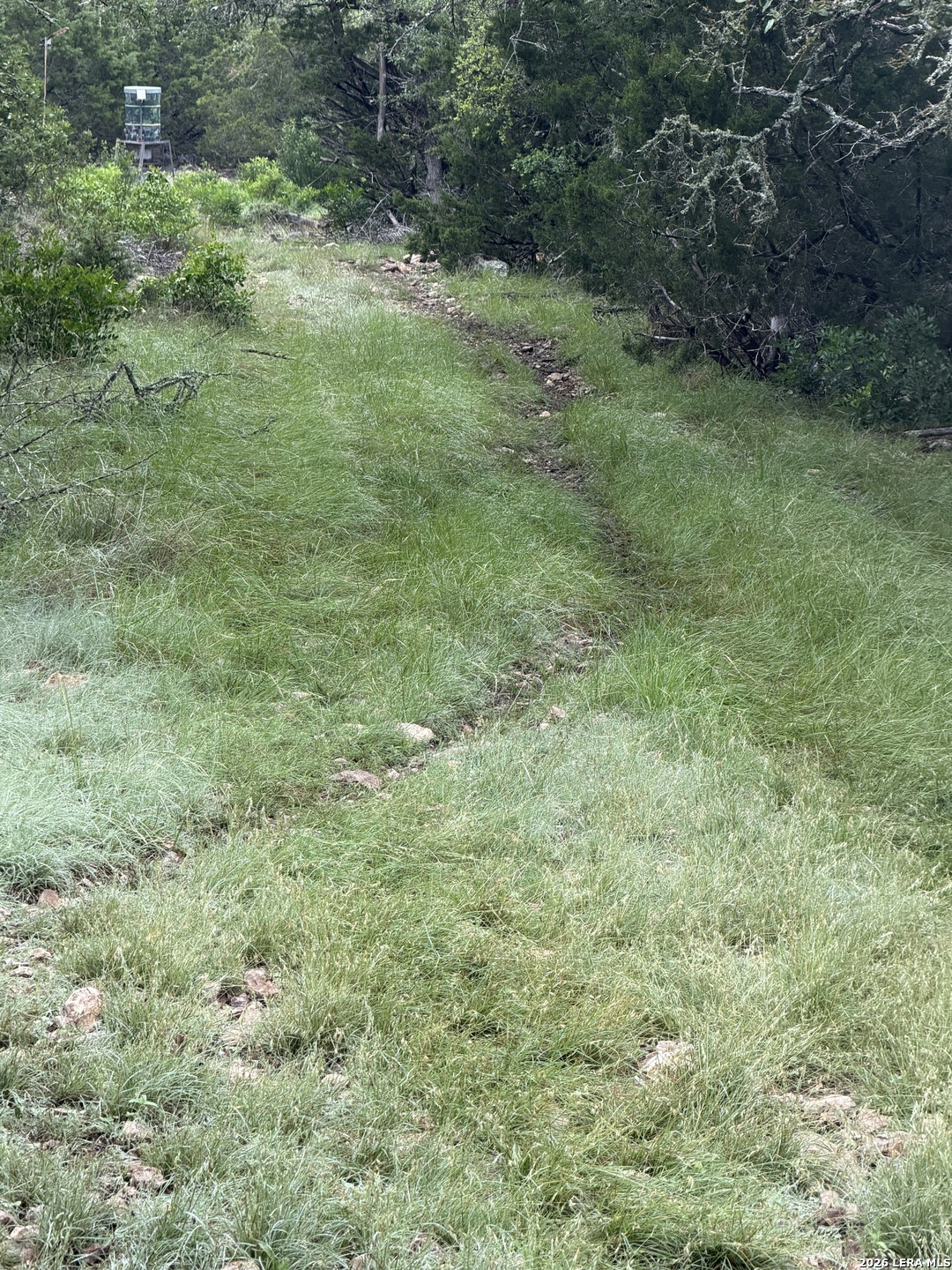 Tbd Sd 46071 Rocksprings TX 78880
