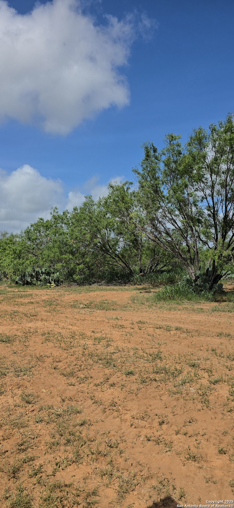 412 County Road 317 Charlotte TX 78011