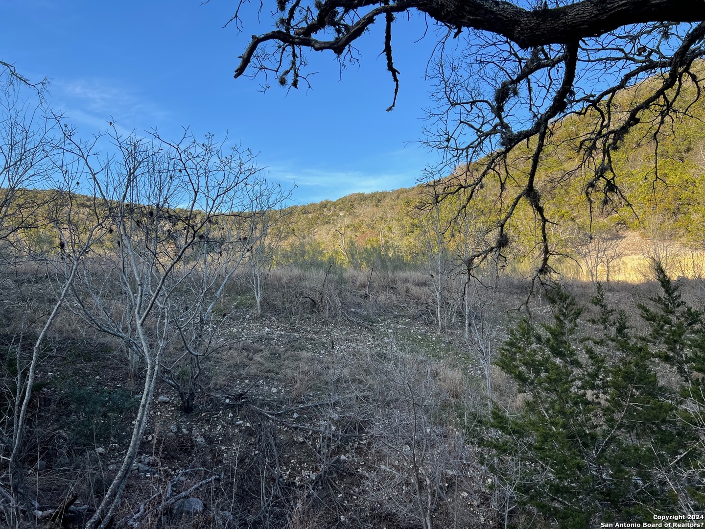 696 Chili Canyon Road Tarpley TX 78003