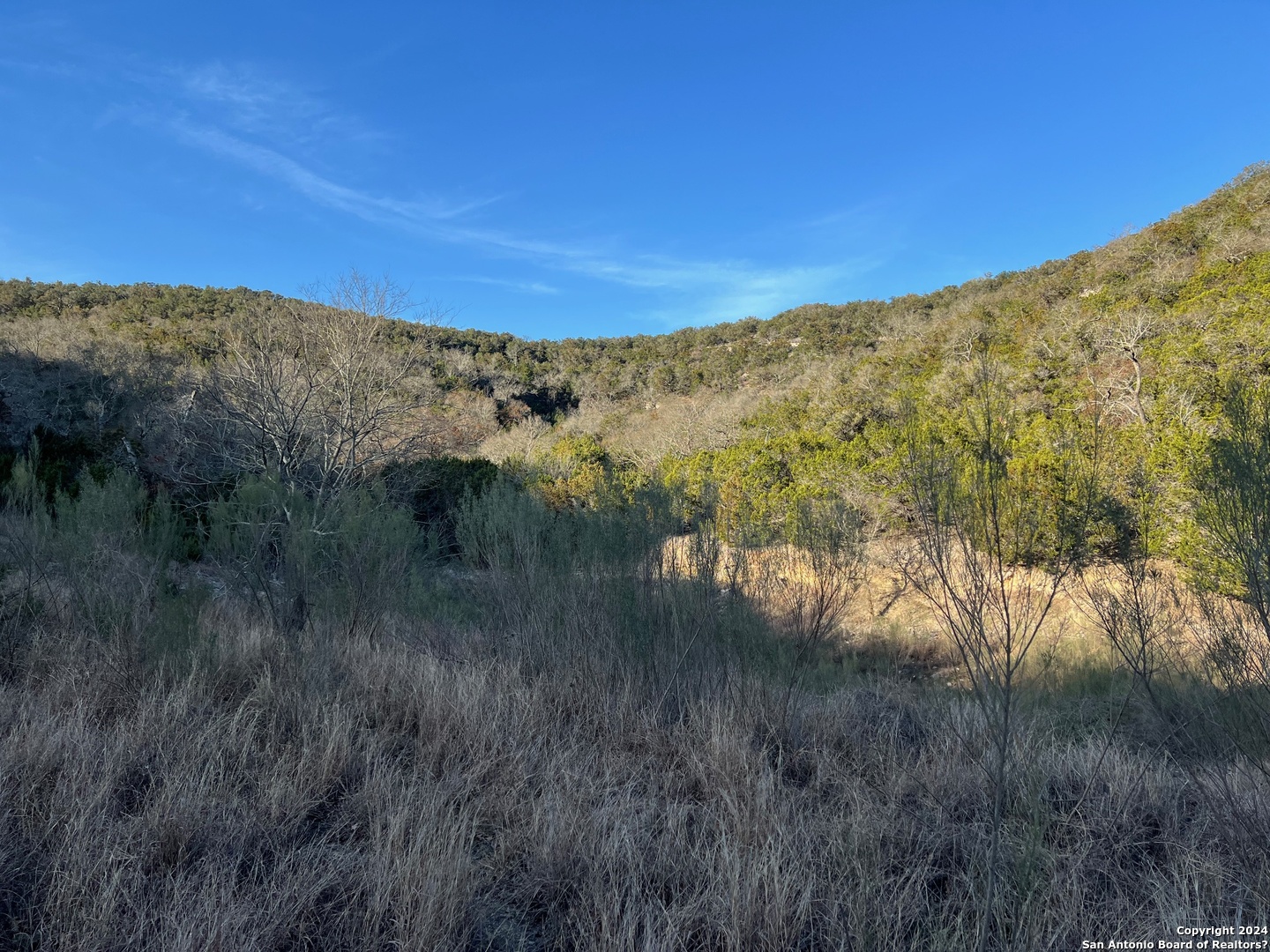 696 Chili Canyon Road Tarpley TX 78003