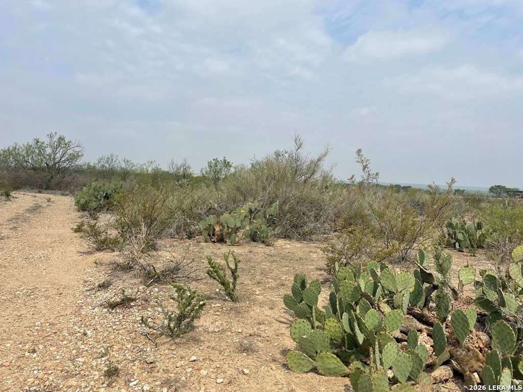 00 Private Road 300 El Indio TX 78860