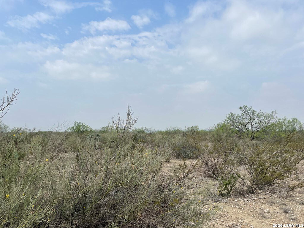 00 Private Road 300 El Indio TX 78860