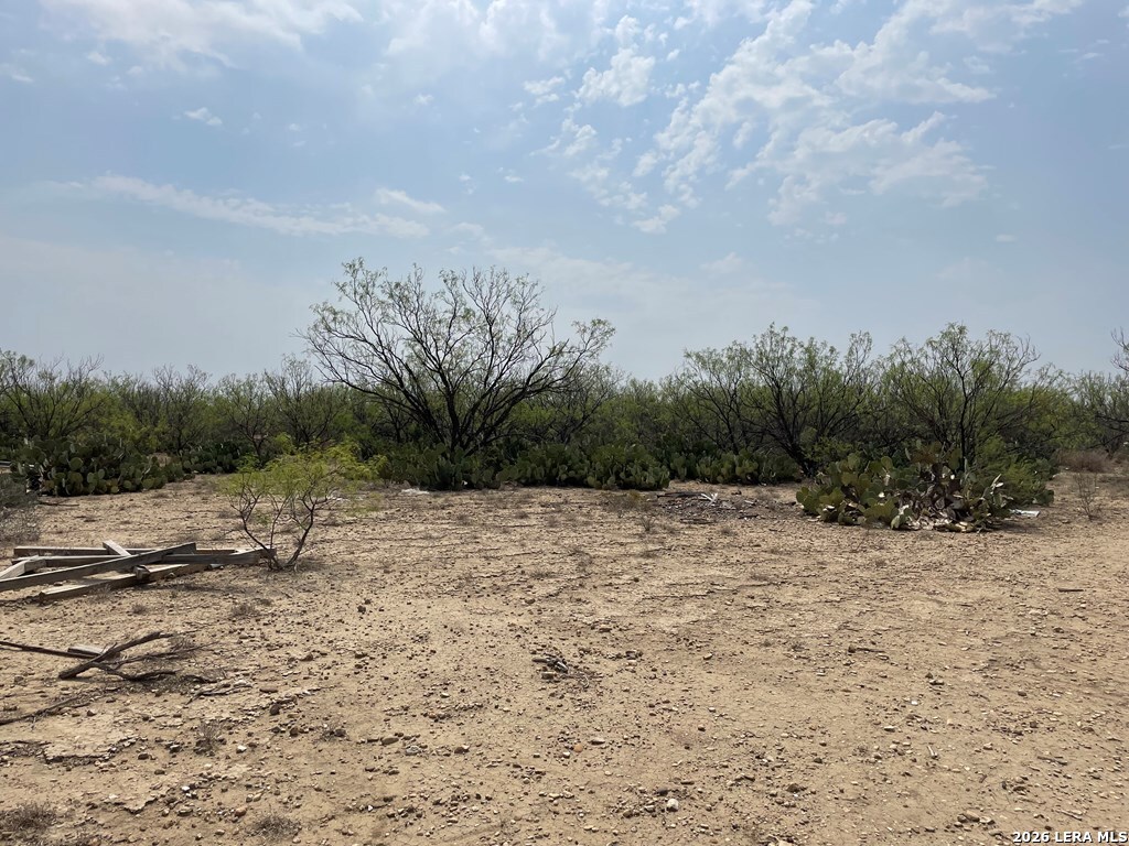 00 Private Road 300 El Indio TX 78860