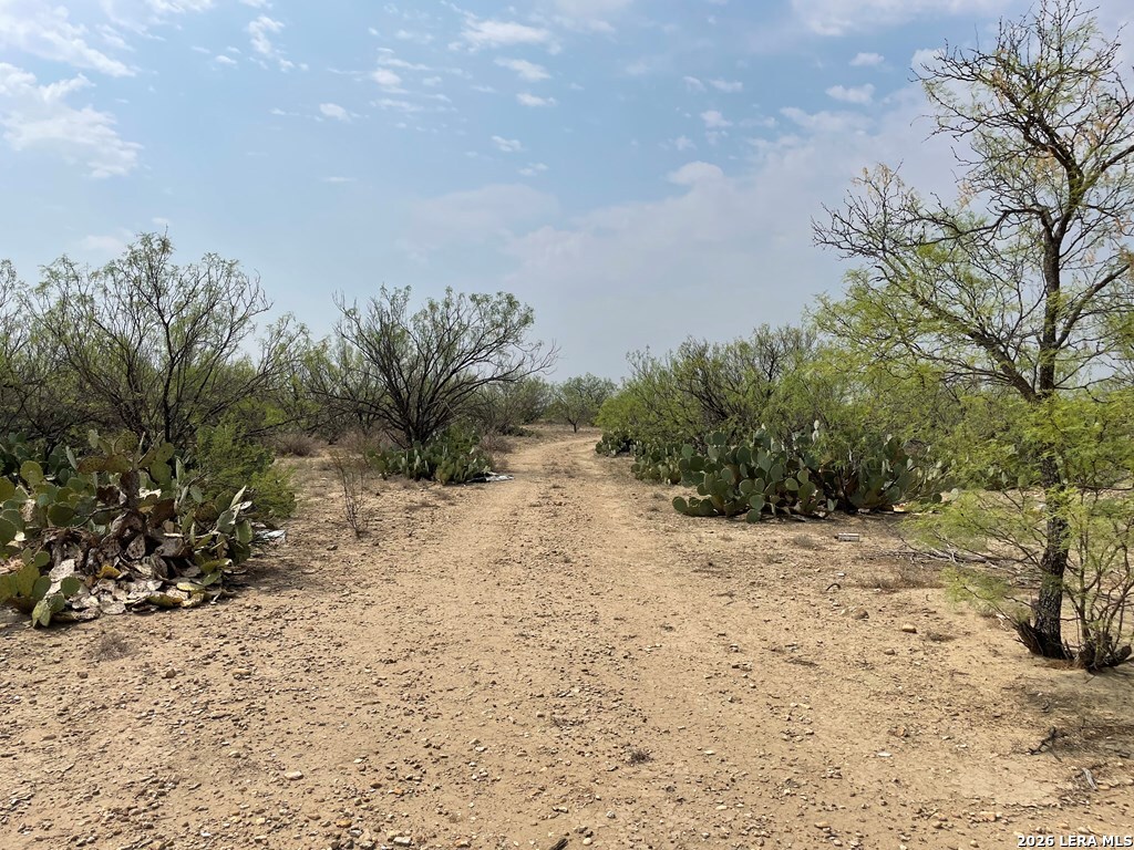 00 Private Road 300 El Indio TX 78860