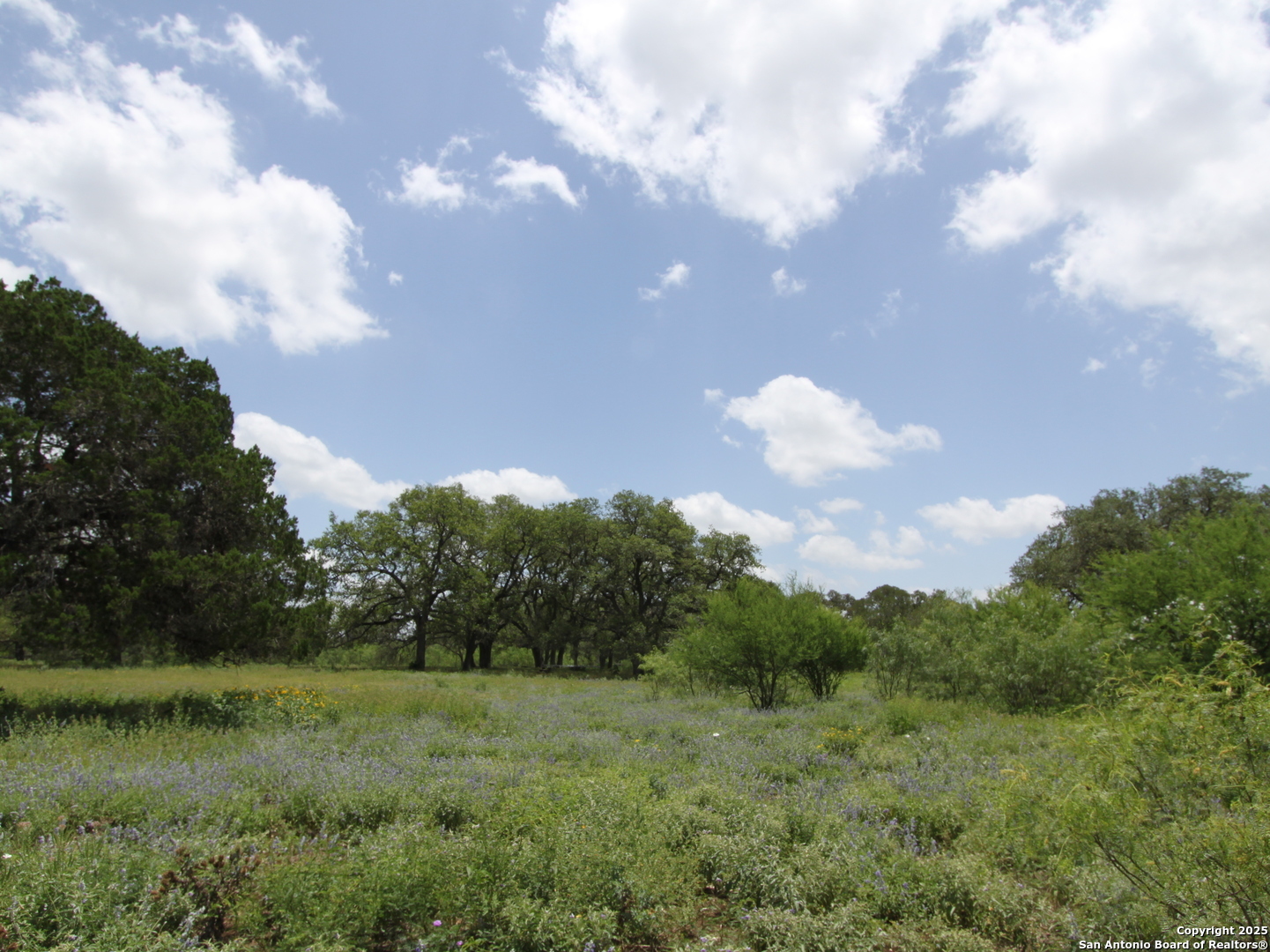 1210 Whispering Woods New Braunfels TX 78132