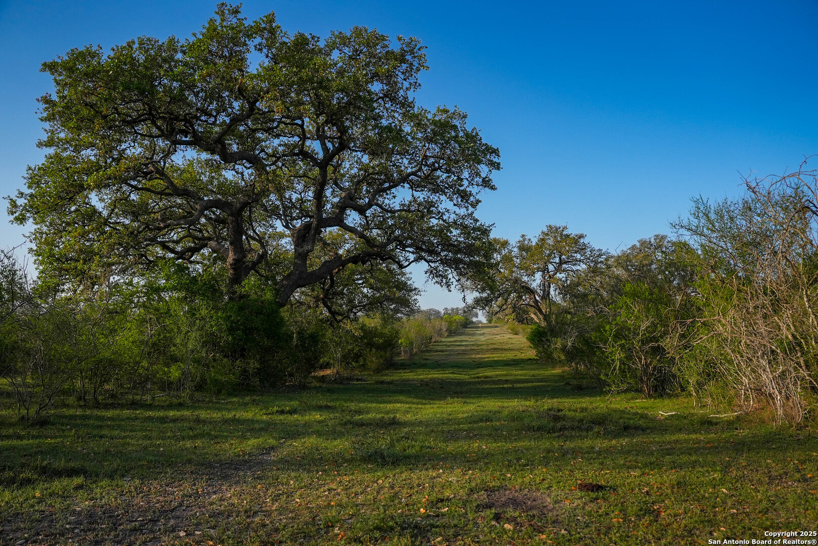 8440 State Highway 239 W Goliad TX 77963