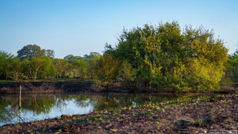 8440 State Highway 239 W Goliad TX 77963
