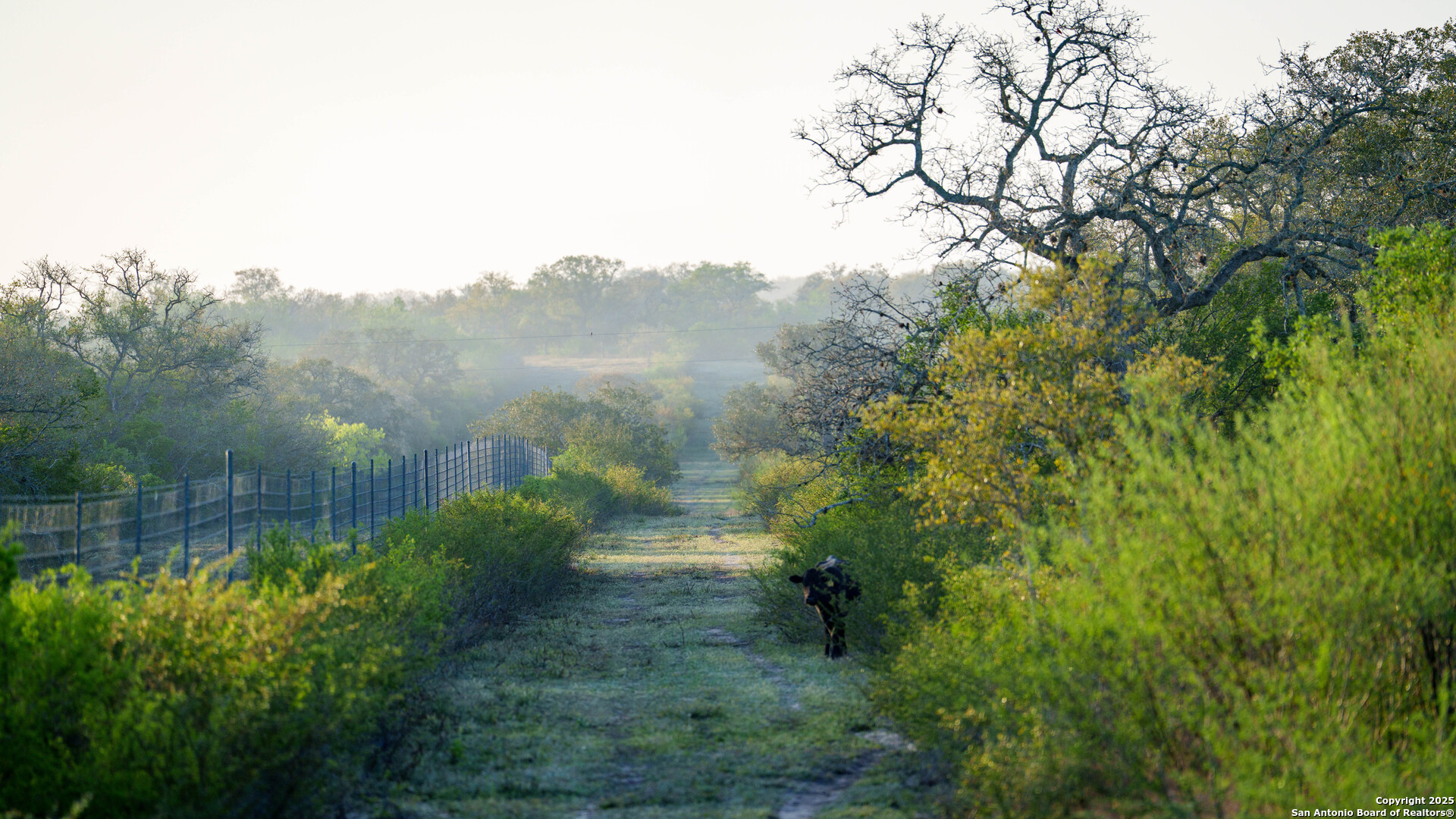 8440 State Highway 239 W Goliad TX 77963