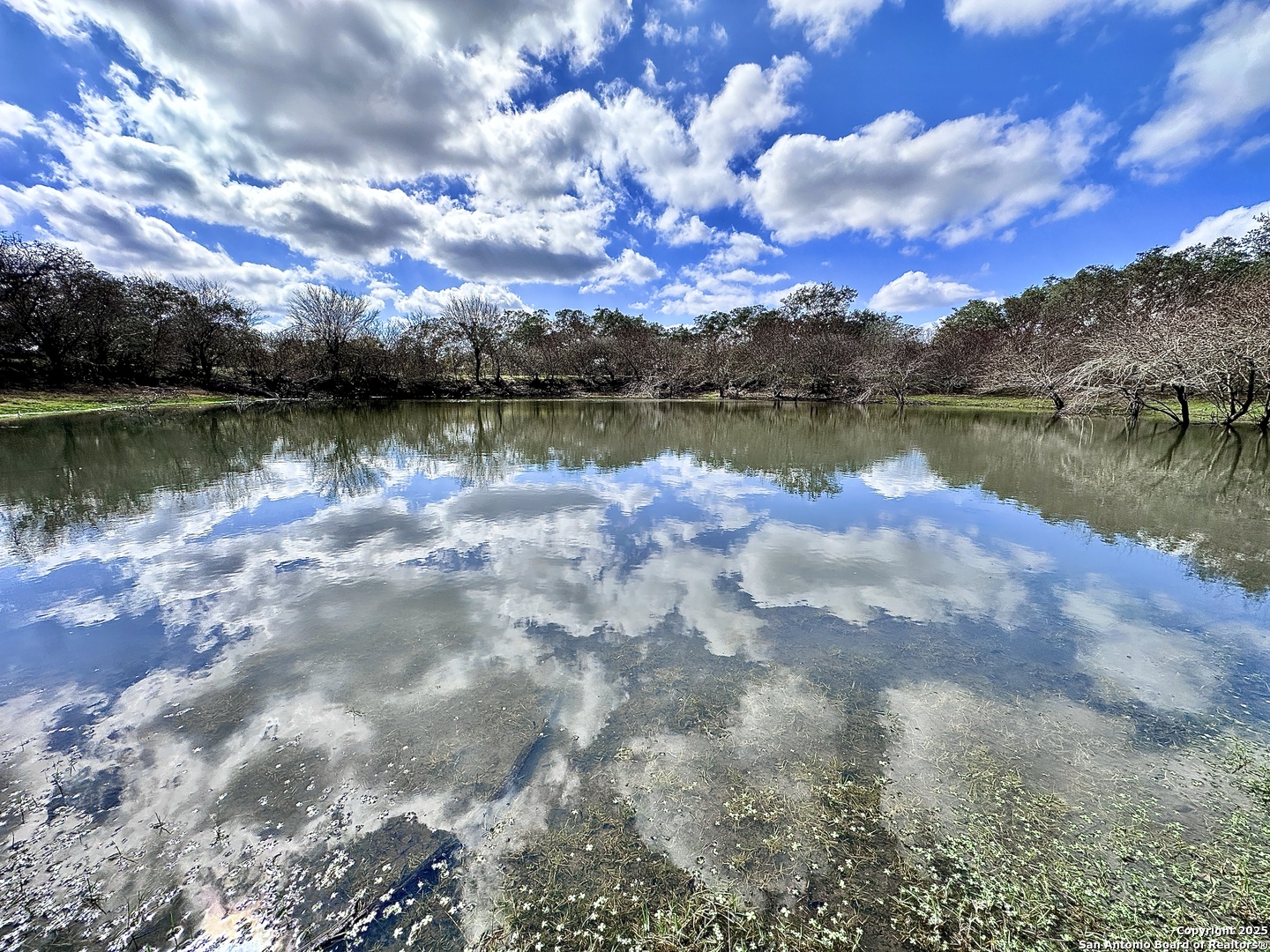8440 State Highway 239 W Goliad TX 77963