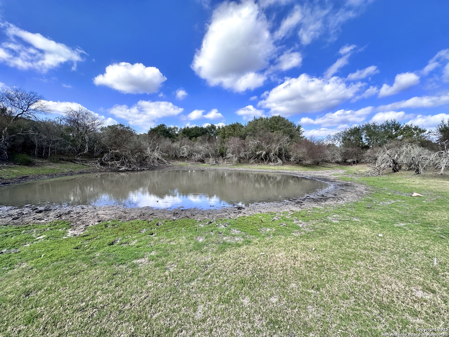 8440 State Highway 239 W Goliad TX 77963