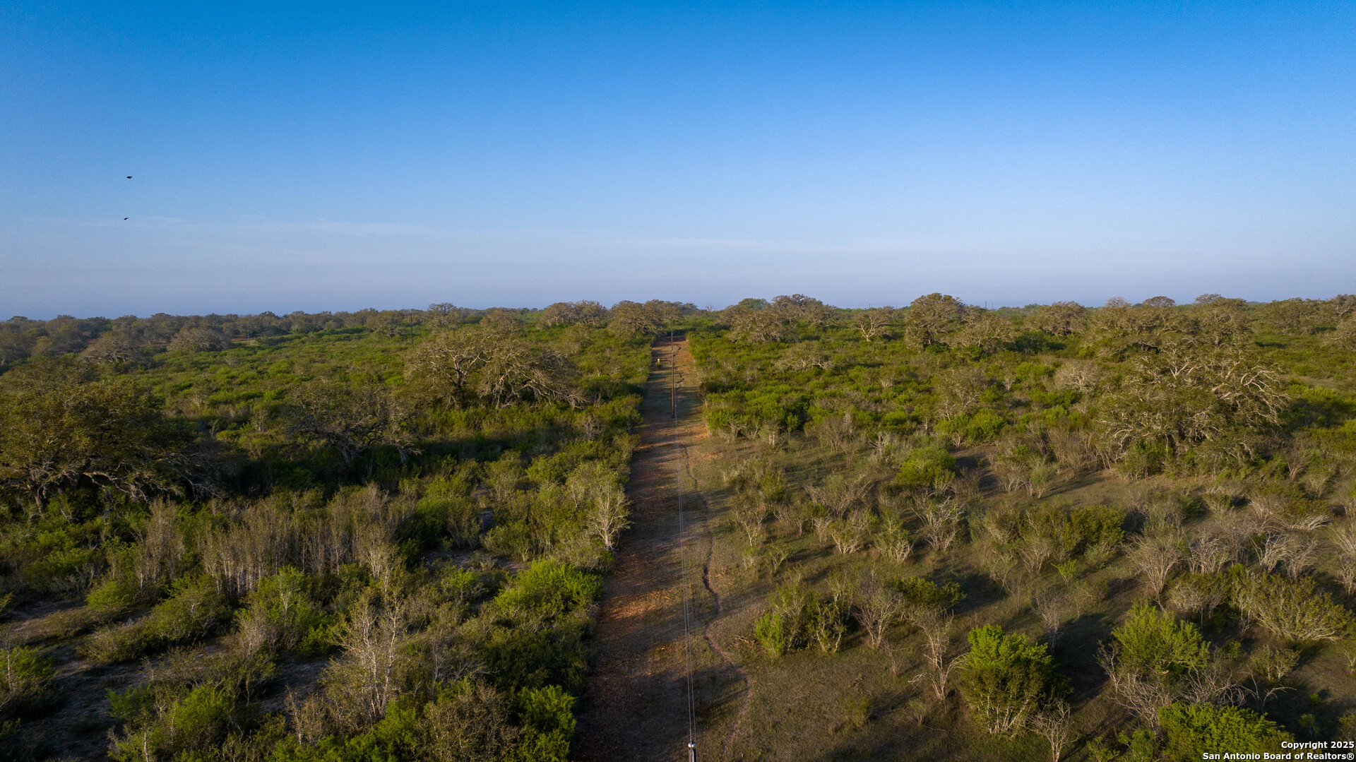 8440 State Highway 239 W Goliad TX 77963