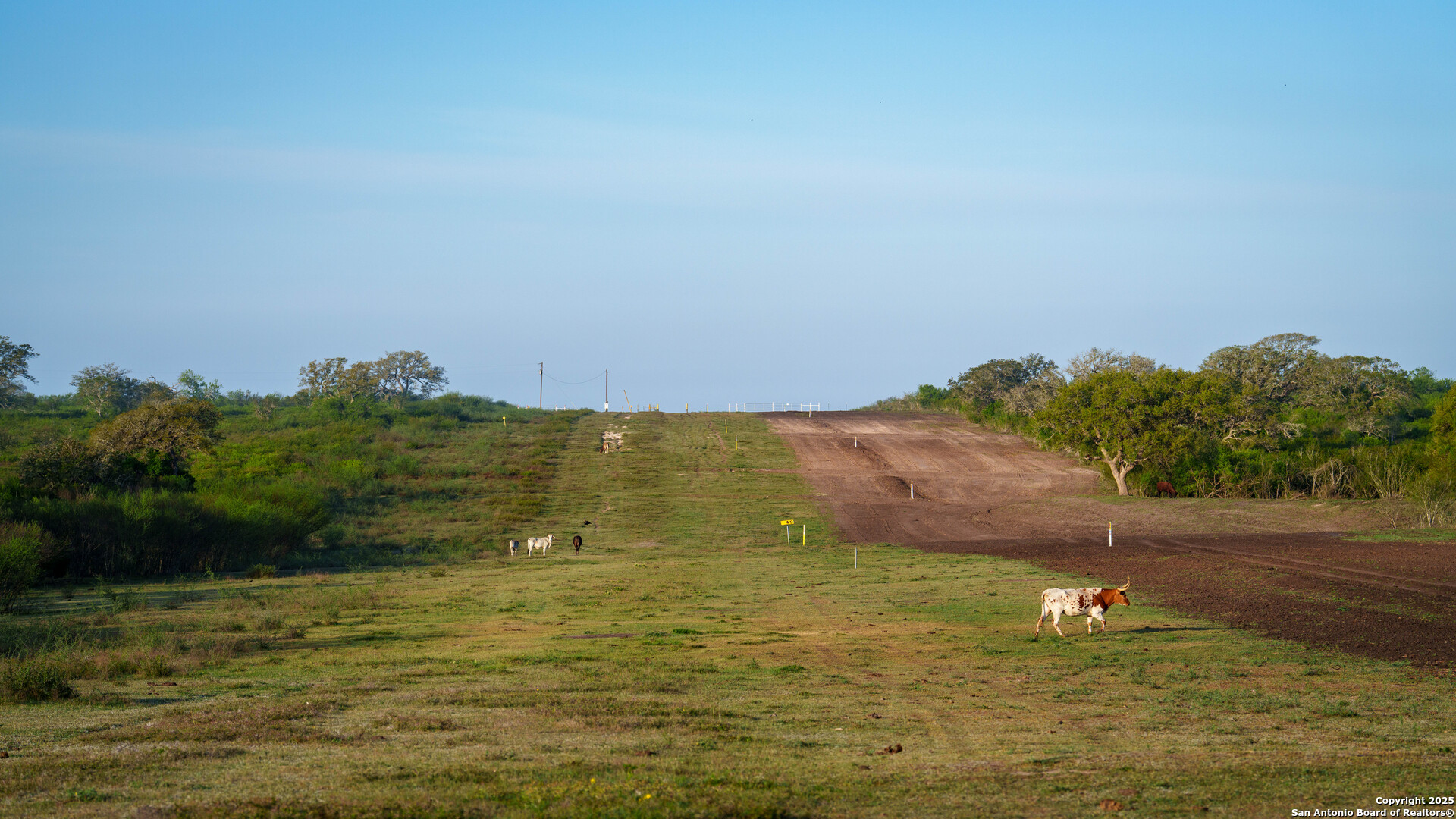 8440 State Highway 239 W Goliad TX 77963