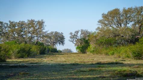 8440 State Highway 239 W Goliad TX 77963