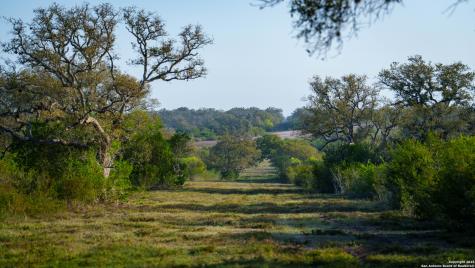8440 State Highway 239 W Goliad TX 77963