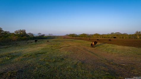 8440 State Highway 239 W Goliad TX 77963