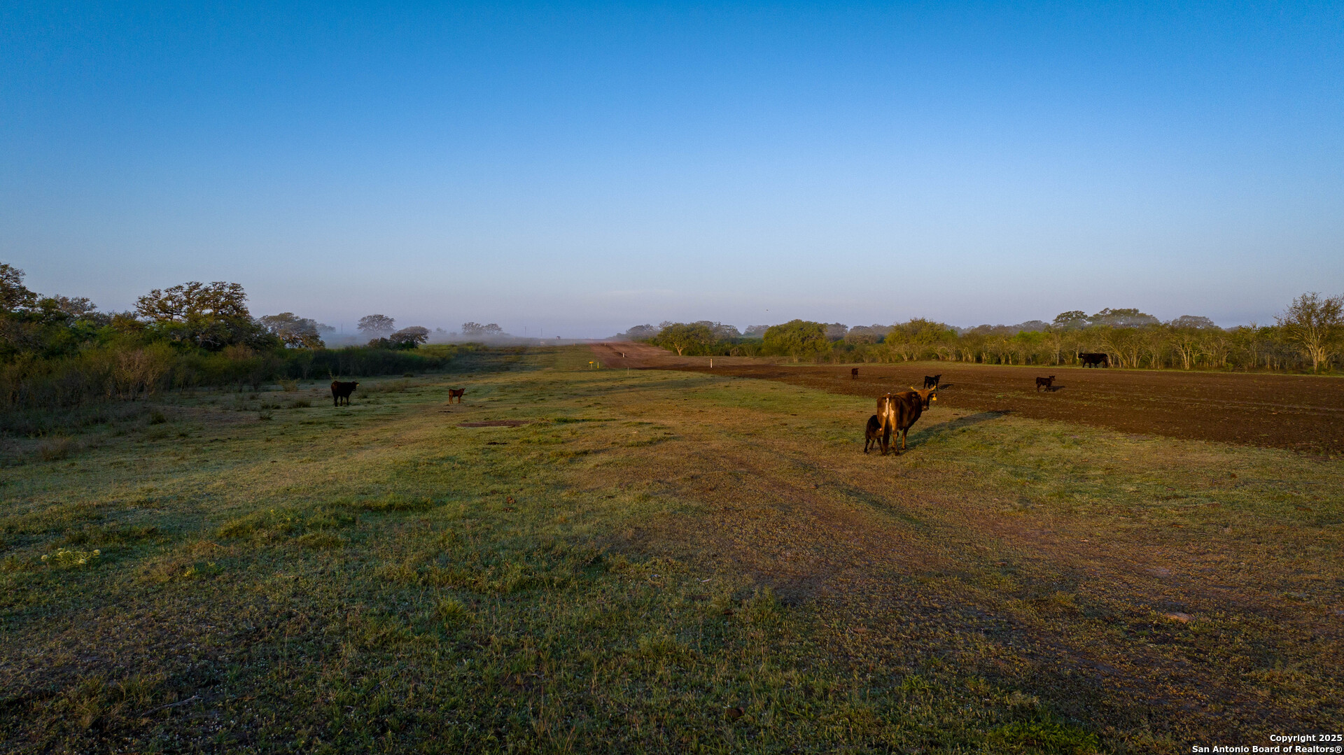 8440 State Highway 239 W Goliad TX 77963
