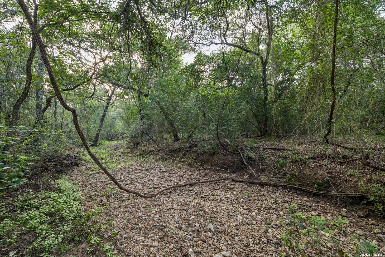9611 Wilke Road Kingsbury TX 78638