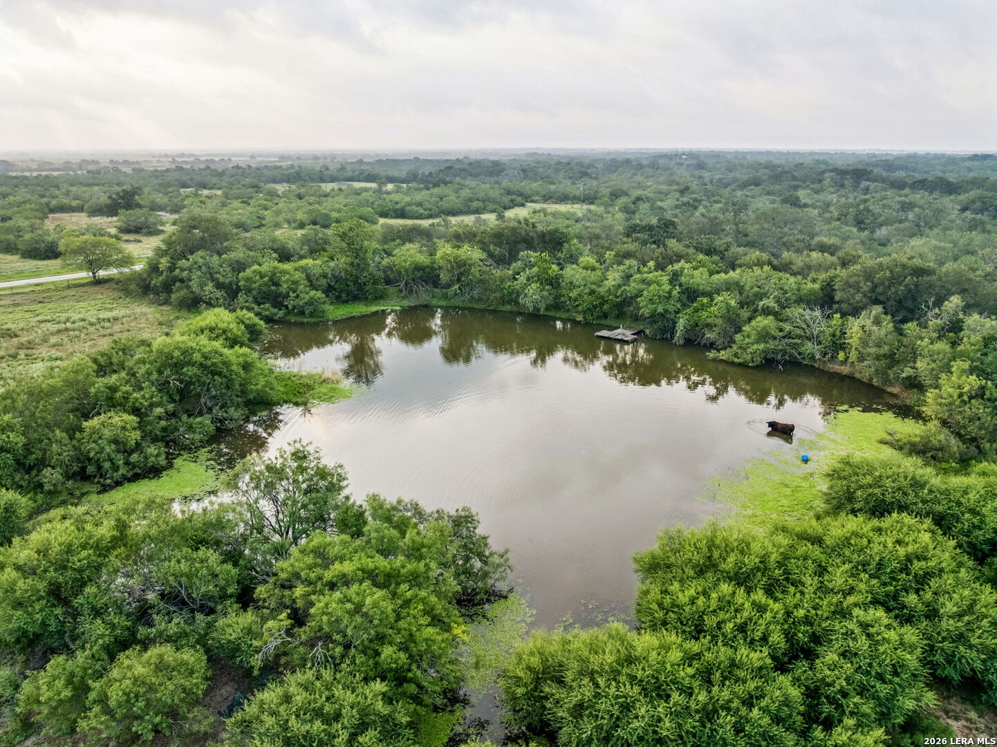 9611 Wilke Road Kingsbury TX 78638
