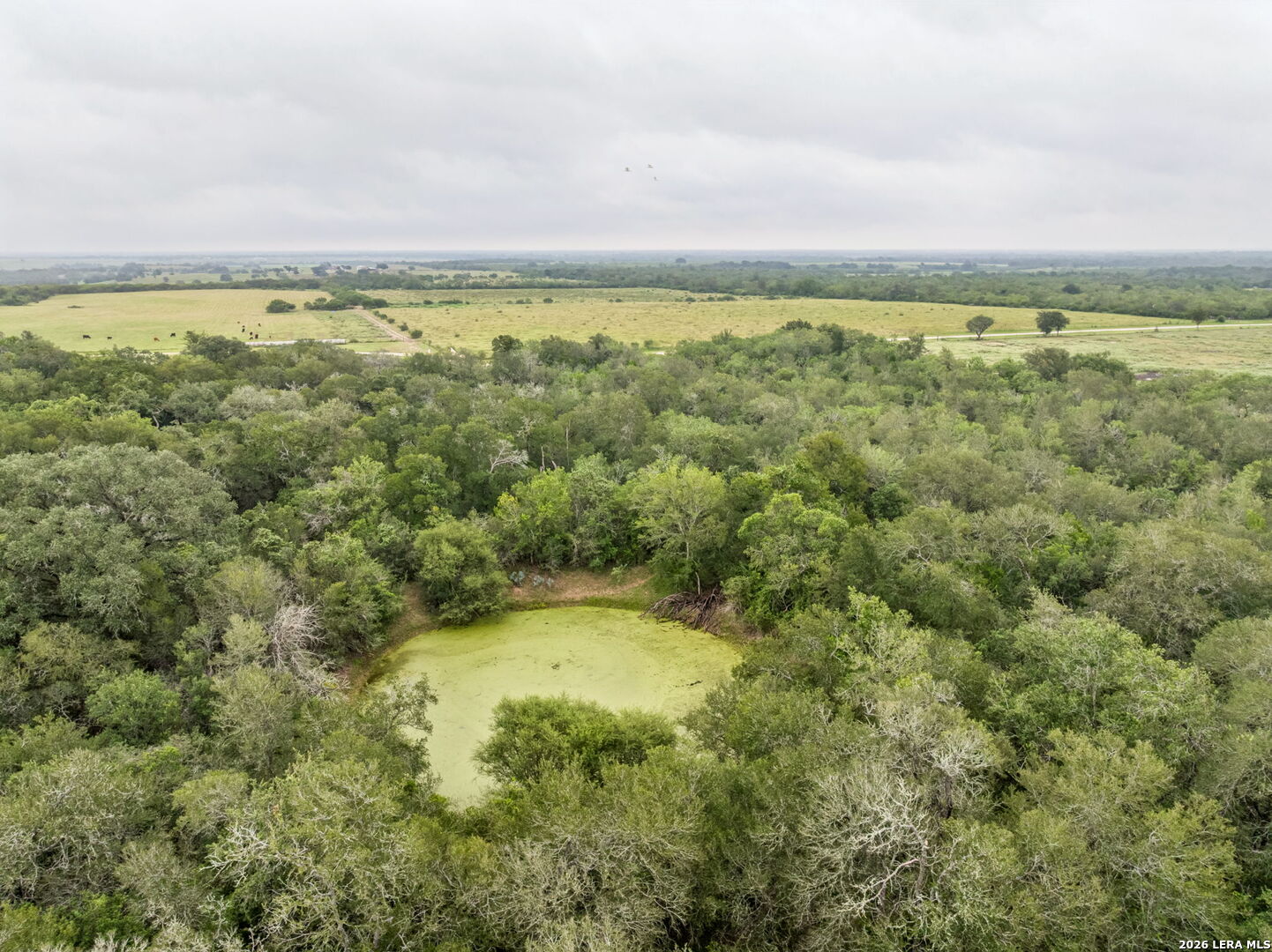 9611 Wilke Road Kingsbury TX 78638