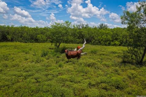 2249 Long Road Lockhart TX 78644