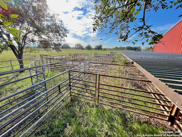 10671 Briggs Road Atascosa TX 78002