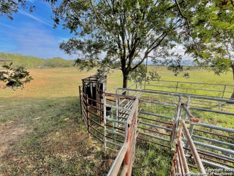 10671 Briggs Road Atascosa TX 78002