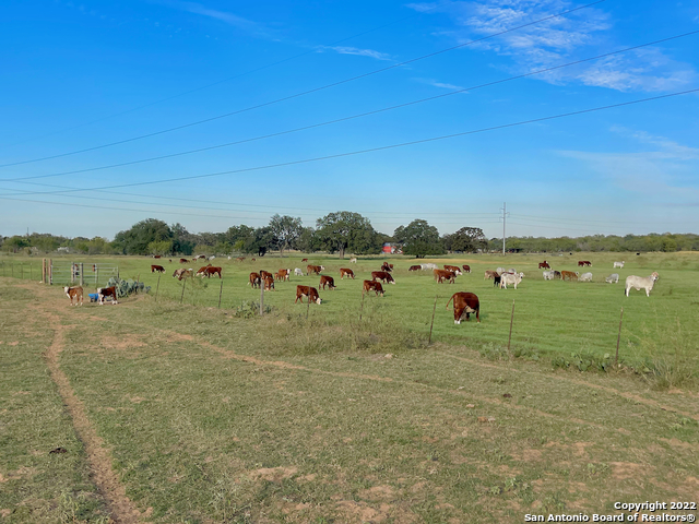 10671 Briggs Road Atascosa TX 78002