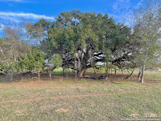 10671 Briggs Road Atascosa TX 78002
