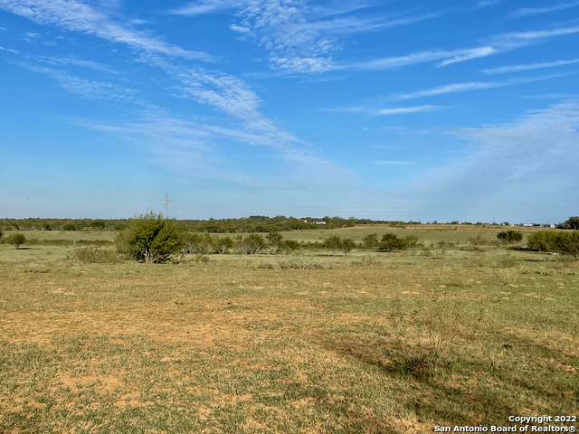10671 Briggs Road Atascosa TX 78002