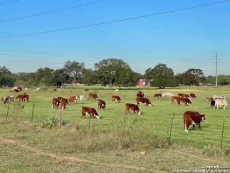 10671 Briggs Road Atascosa TX 78002