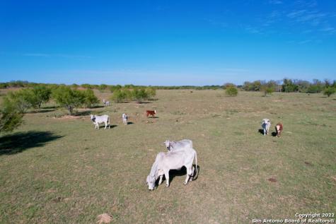 10671 Briggs Road Atascosa TX 78002