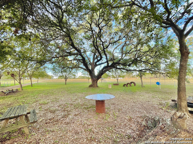 10671 Briggs Road Atascosa TX 78002