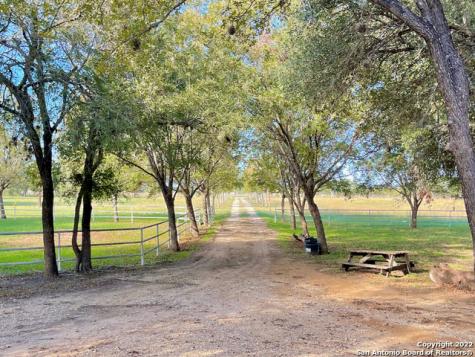 10671 Briggs Road Atascosa TX 78002
