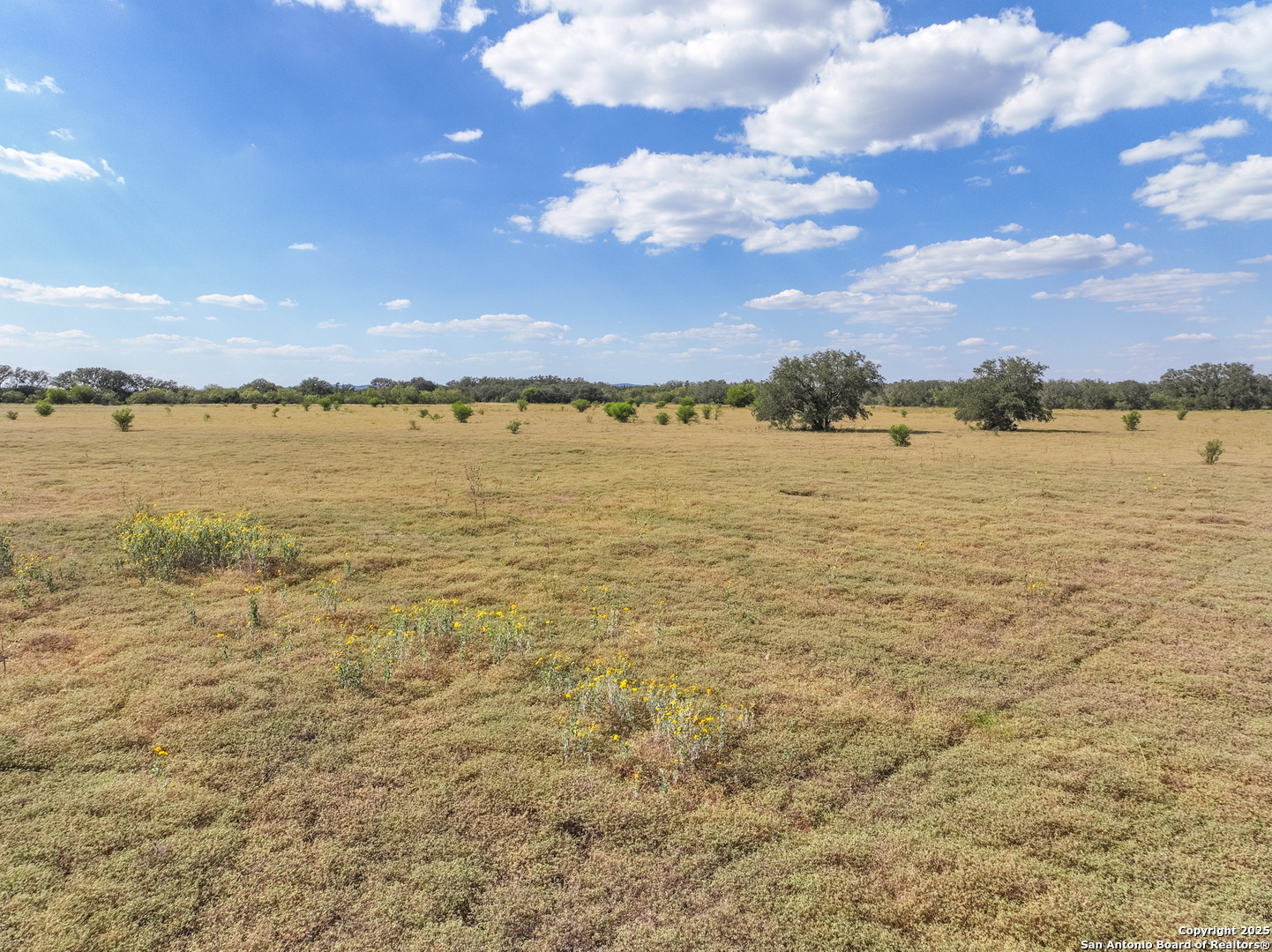 Tbd Lot 131 Utopia Oaks Dhanis TX 78850