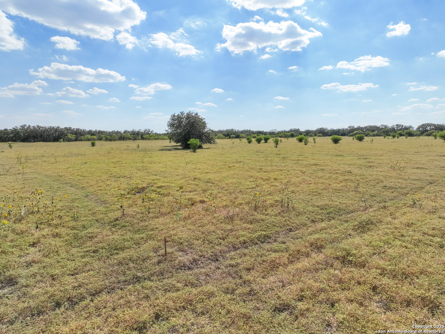Tbd Lot 131 Utopia Oaks Dhanis TX 78850