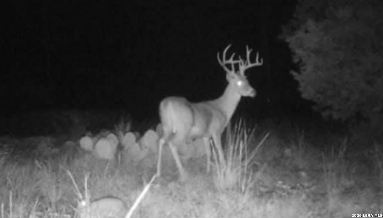 2197 Sd 45340 Rocksprings TX 78880