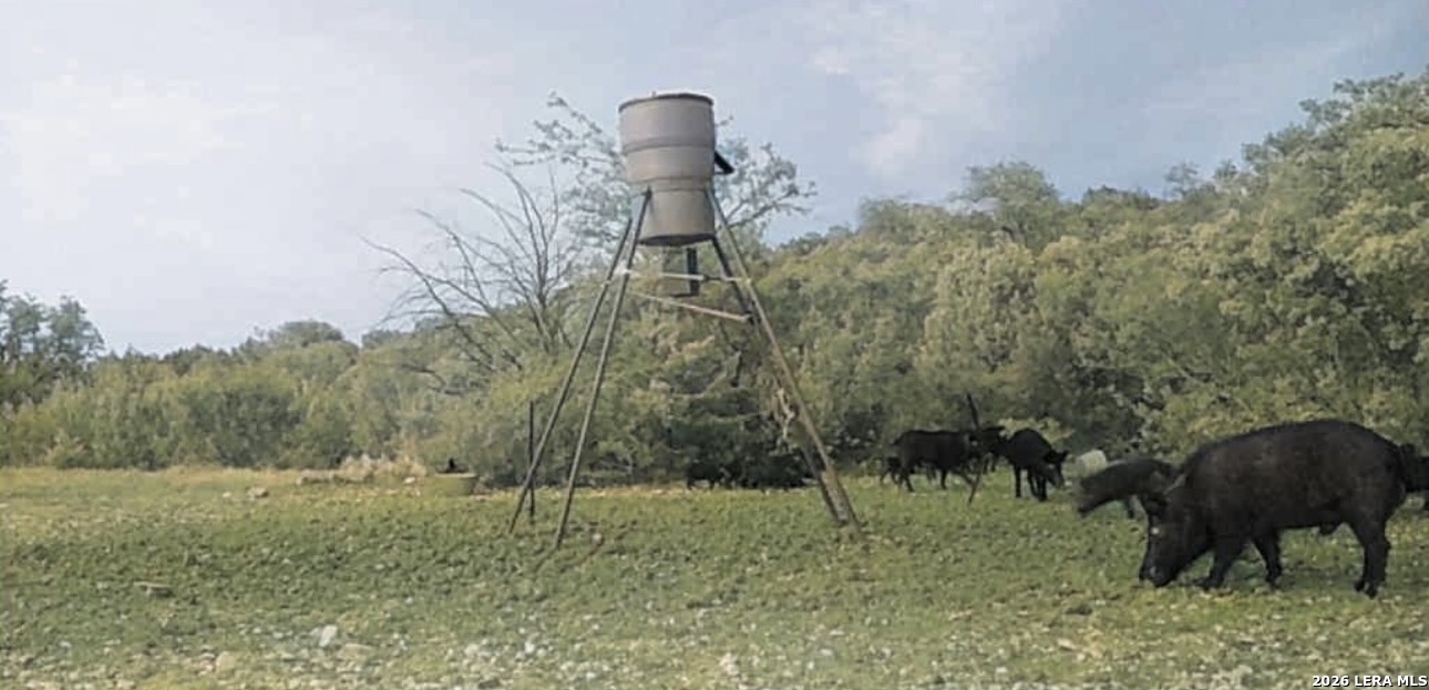 2197 Sd 45340 Rocksprings TX 78880