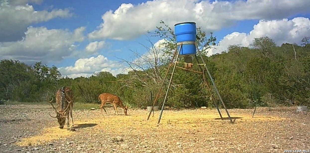 2197 Sd 45340 Rocksprings TX 78880