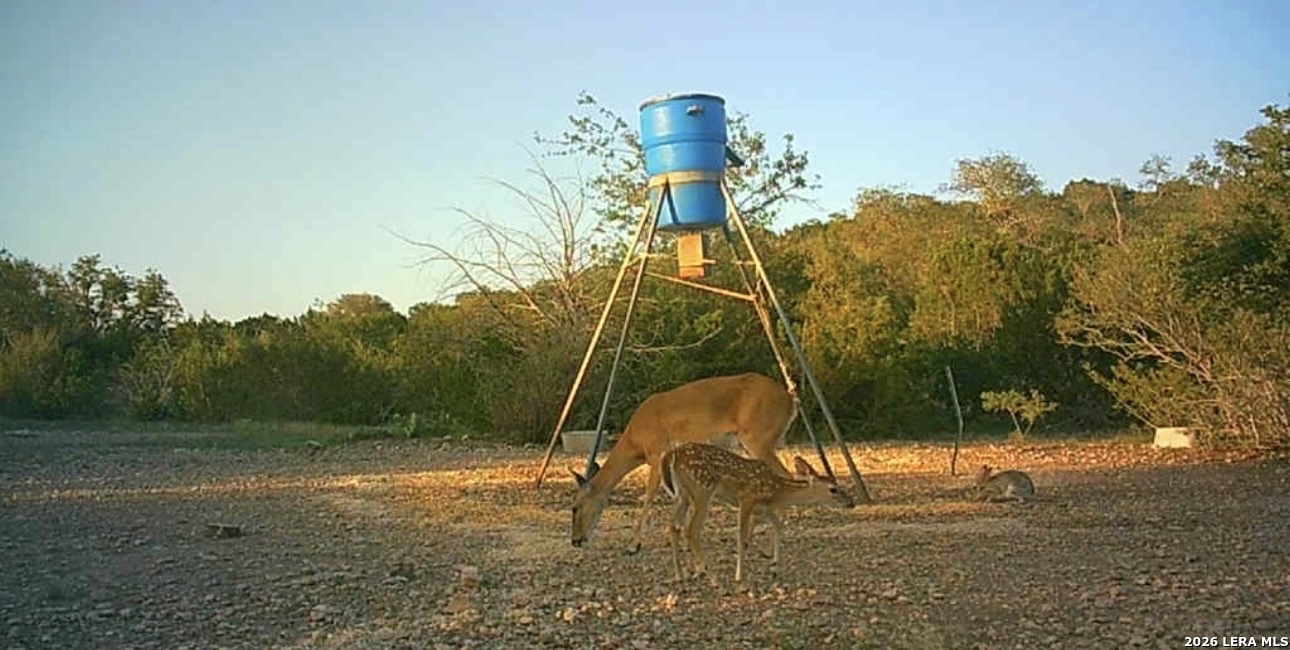 2197 Sd 45340 Rocksprings TX 78880