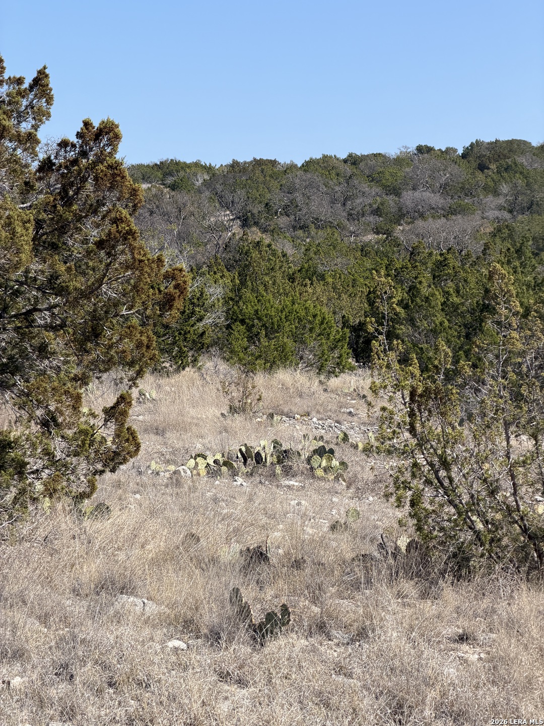 2197 Sd 45340 Rocksprings TX 78880