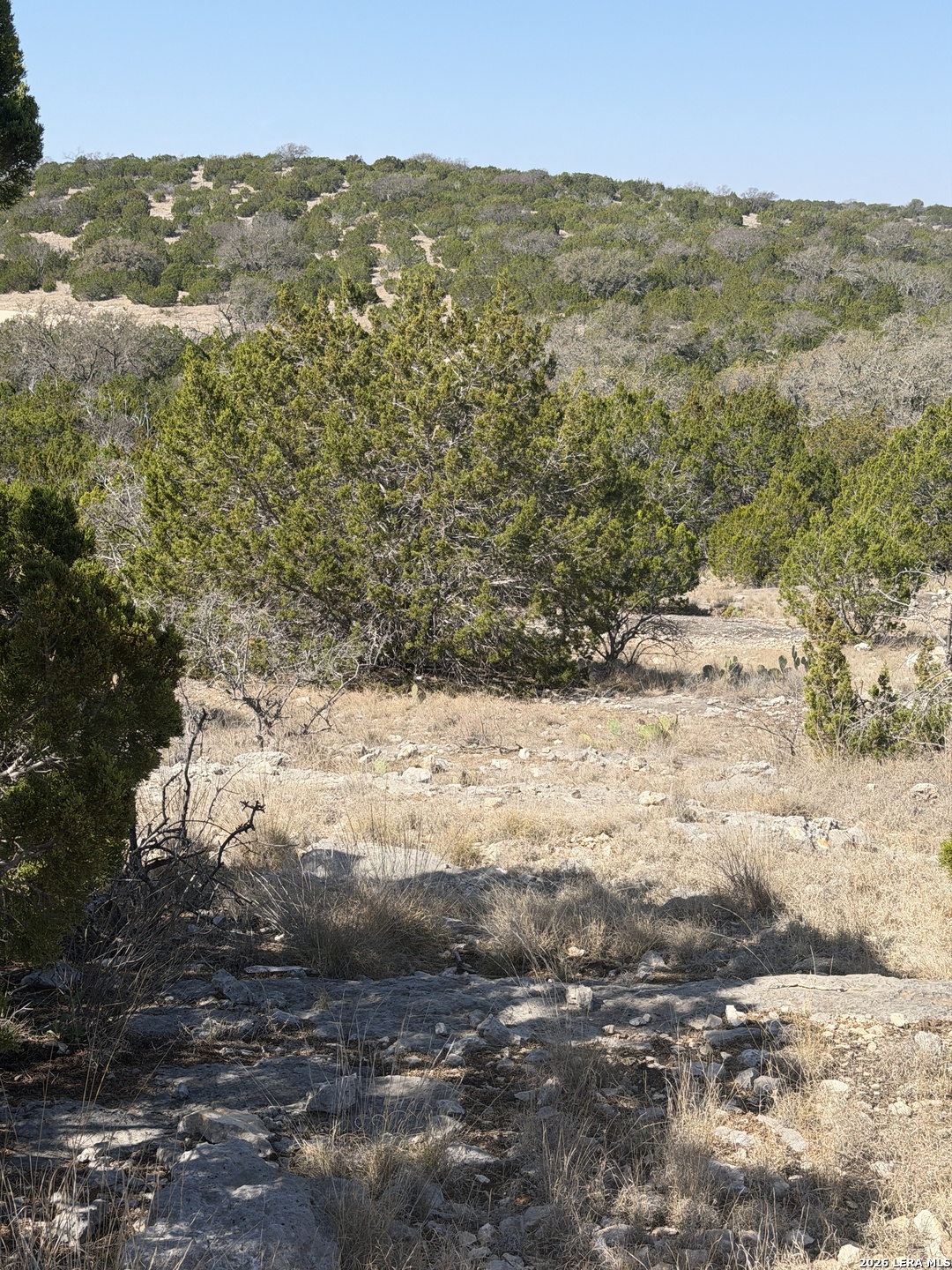 2197 Sd 45340 Rocksprings TX 78880