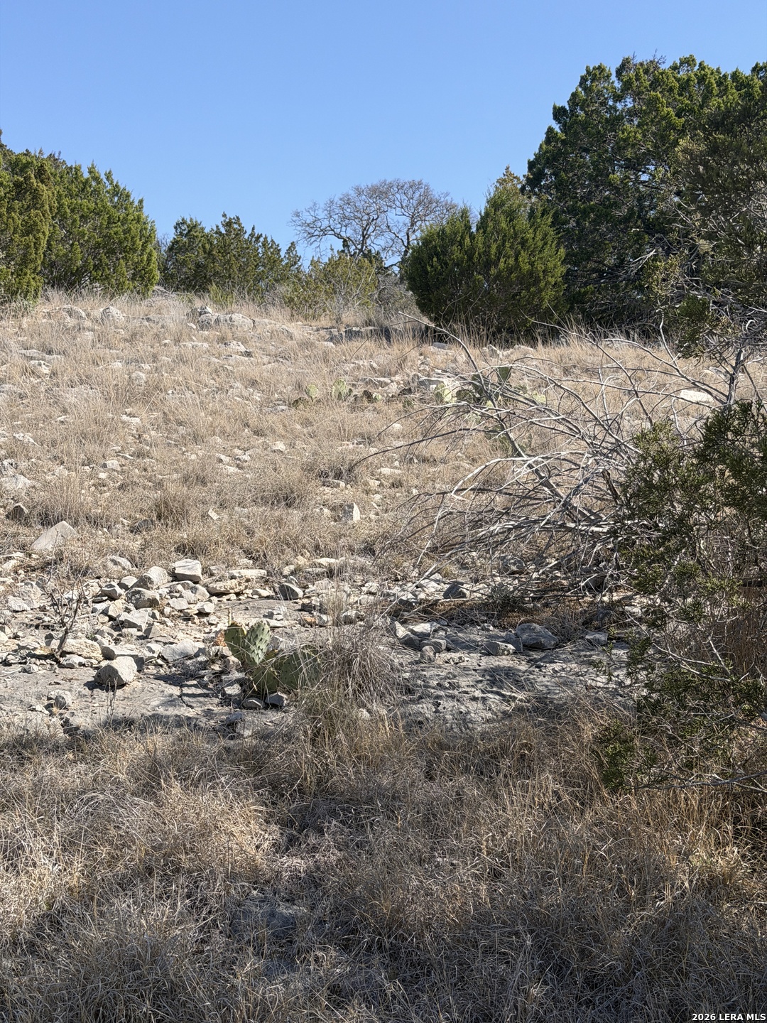 2197 Sd 45340 Rocksprings TX 78880