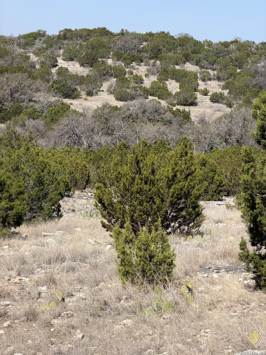 2197 Sd 45340 Rocksprings TX 78880