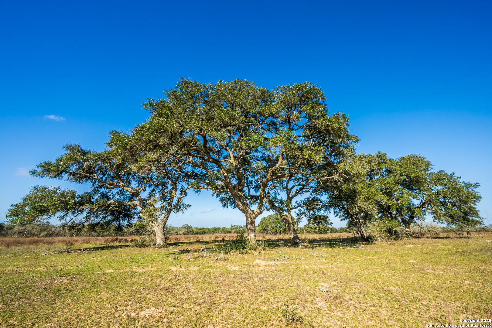 16297 Sh 111 Yoakum TX 77995