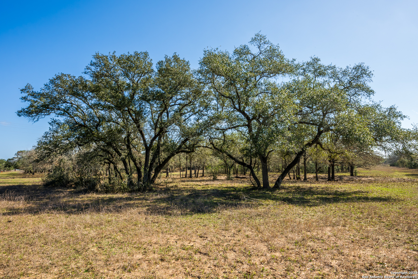 16297 Sh 111 Yoakum TX 77995