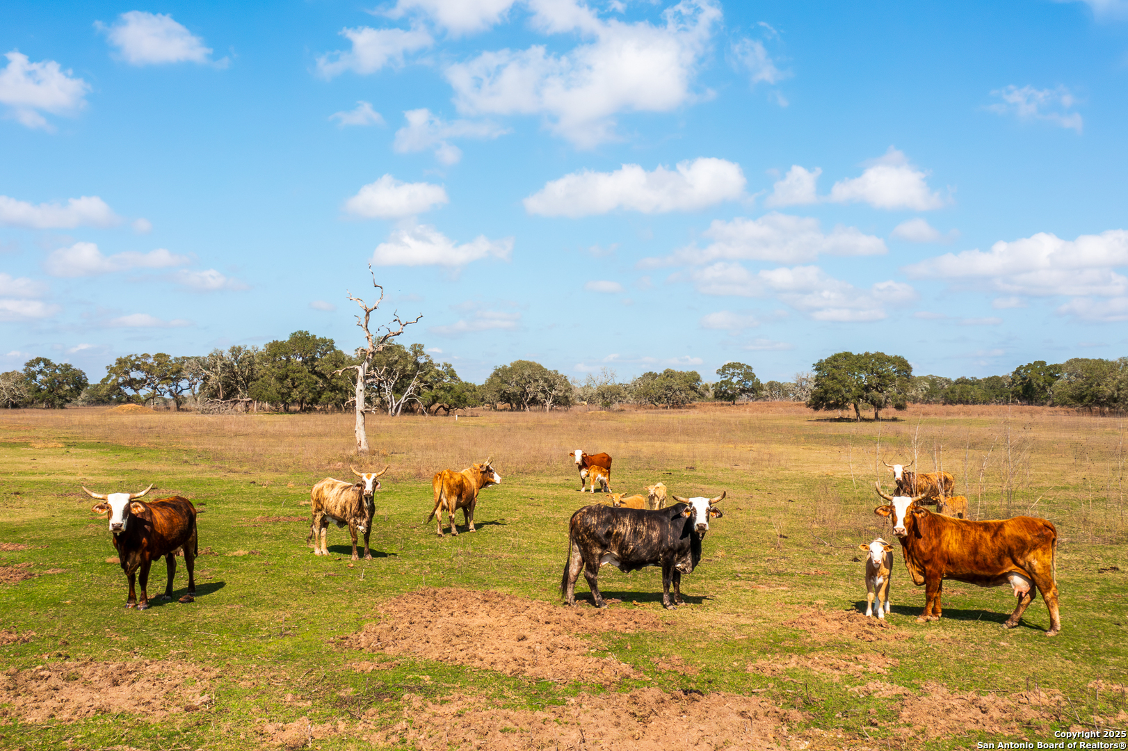 16297 Sh 111 Yoakum TX 77995