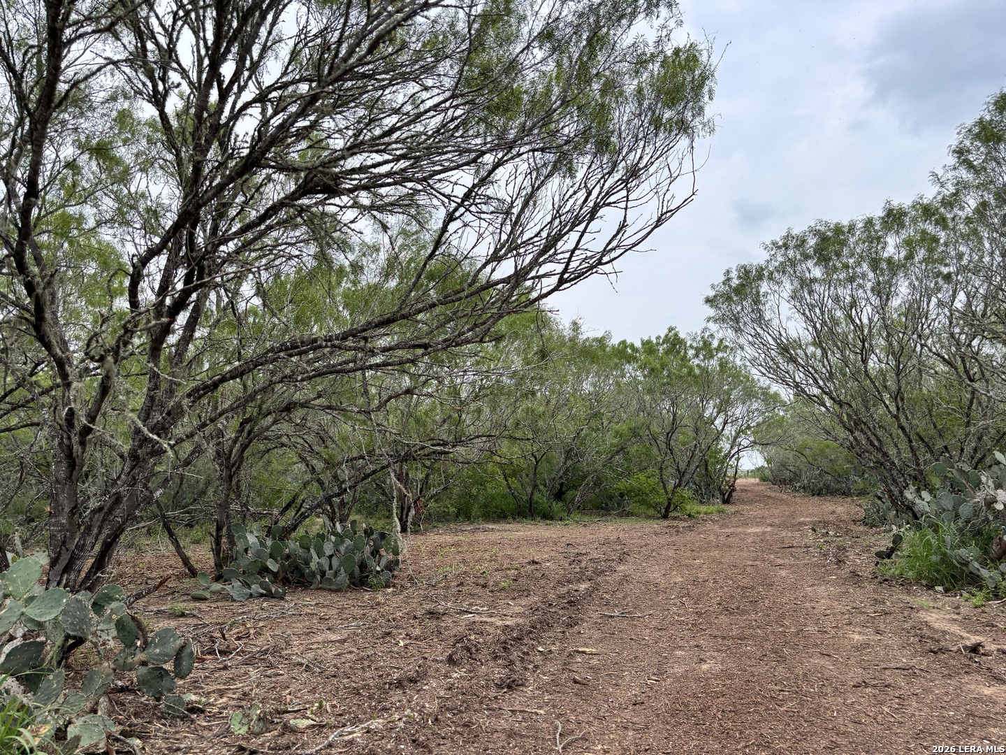 0 County Road 229 TX 78349