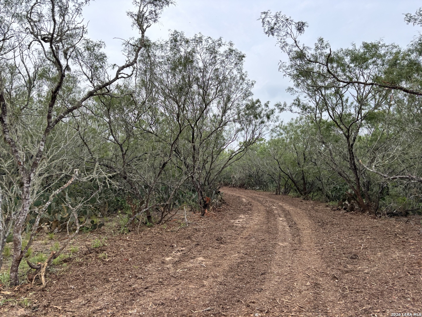 0 County Road 229 TX 78349