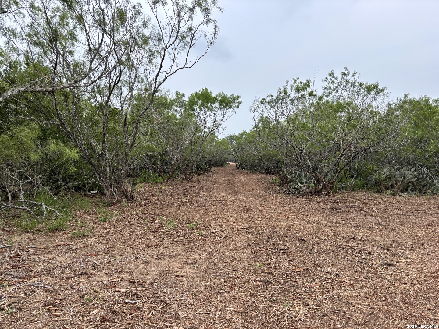 0 County Road 229 TX 78349